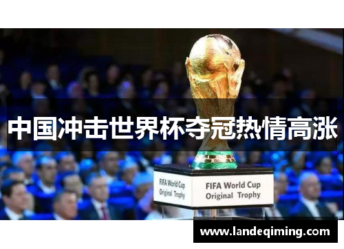 中国冲击世界杯夺冠热情高涨